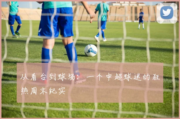 从看台到球场：一个中超球迷的狂热周末纪实